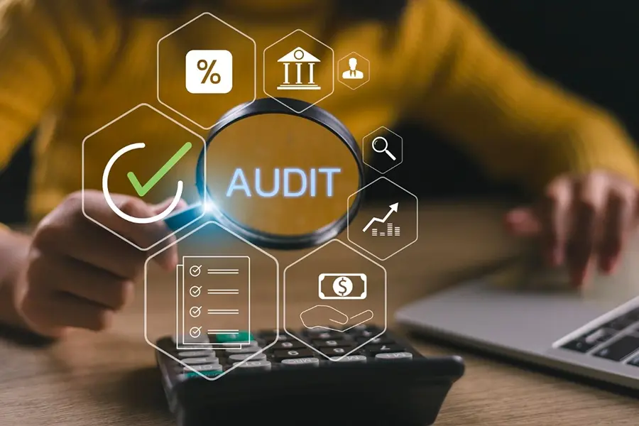 Information System Audit