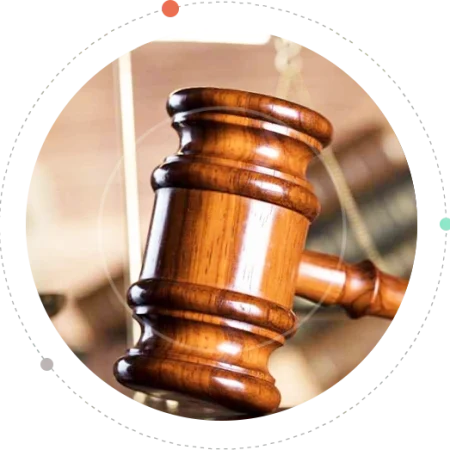 FEMA Litigation and Representation copy