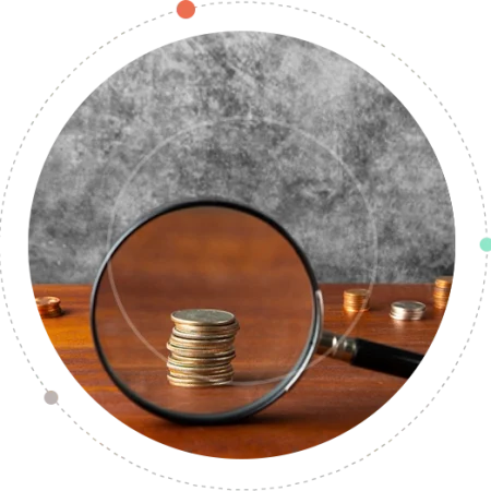 Operational Audit ial Purpose Audit